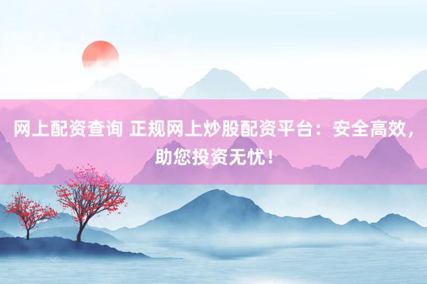网上配资查询 正规网上炒股配资平台：安全高效，助您投资无忧！