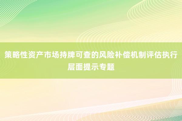策略性资产市场持牌可查的风险补偿机制评估执行层面提示专题
