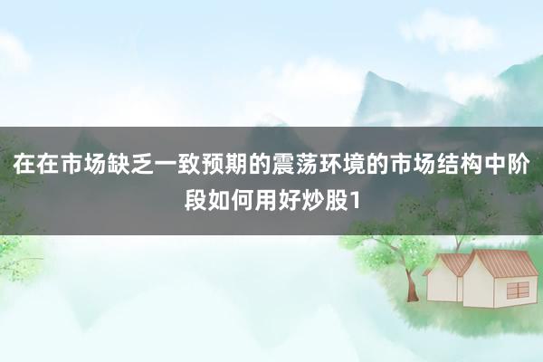 在在市场缺乏一致预期的震荡环境的市场结构中阶段如何用好炒股1