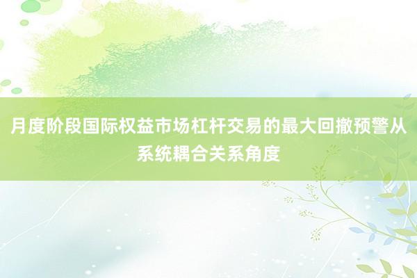 月度阶段国际权益市场杠杆交易的最大回撤预警从系统耦合关系角度